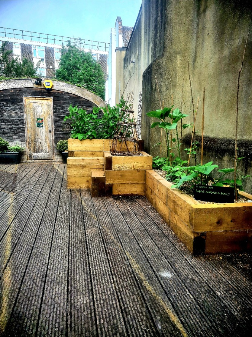 A wooden deck with raised planter boxes filled with green plants, and a small, rounded building with a rustic wooden door in the background.