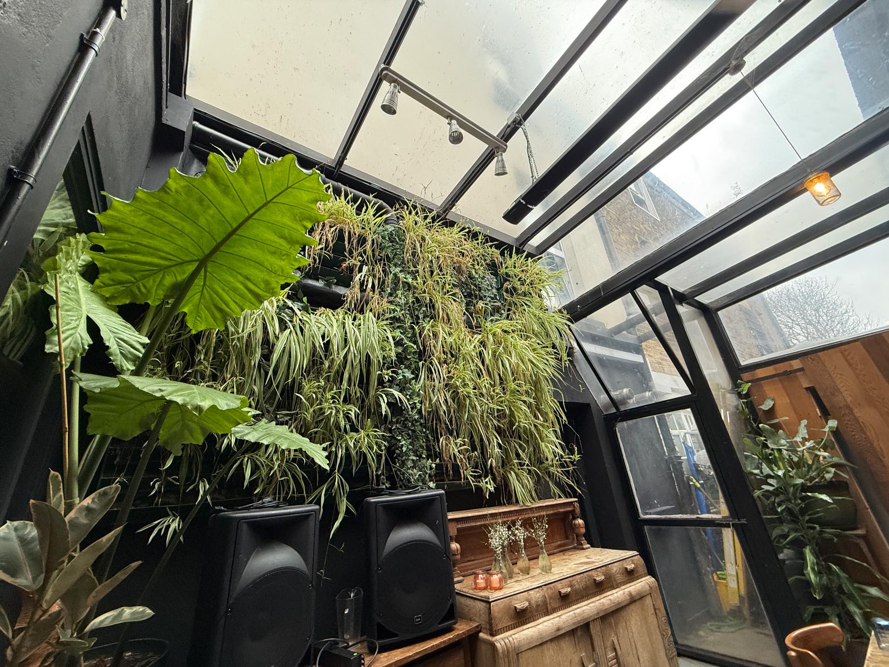 Room with glass roof and walls, lush living plant wall, potted greenery, and black speakers beside a wooden cabinet with bottles.