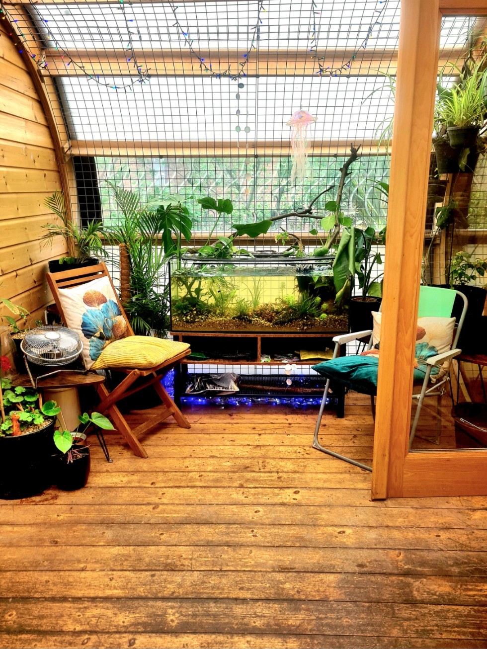 A cozy sunroom with a wooden floor and ceiling, filled with an aquarium, various potted plants, and two lounge chairs.
